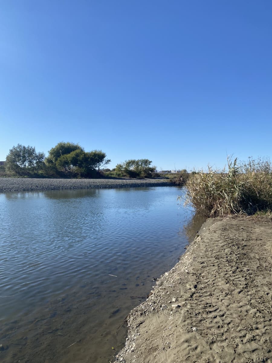 多摩川の川べり