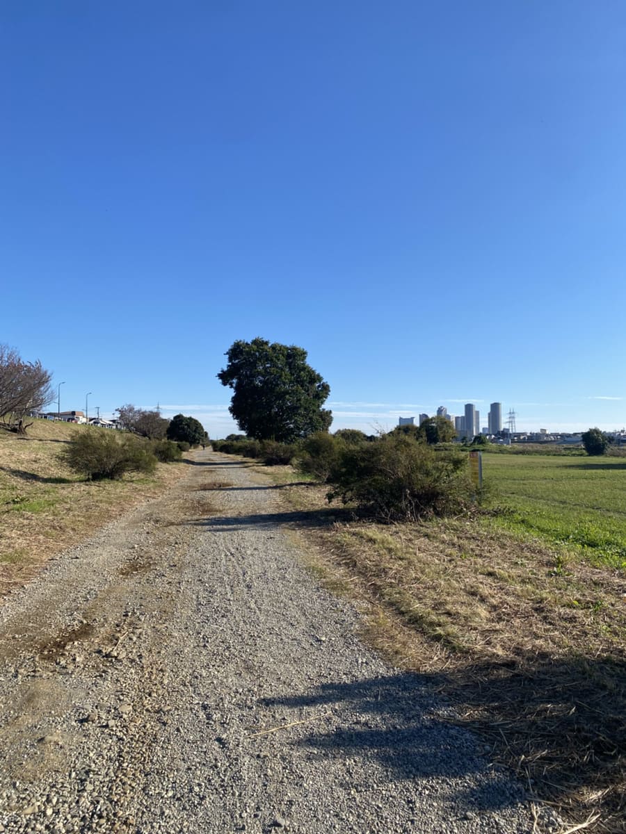 多摩川沿いの砂利道