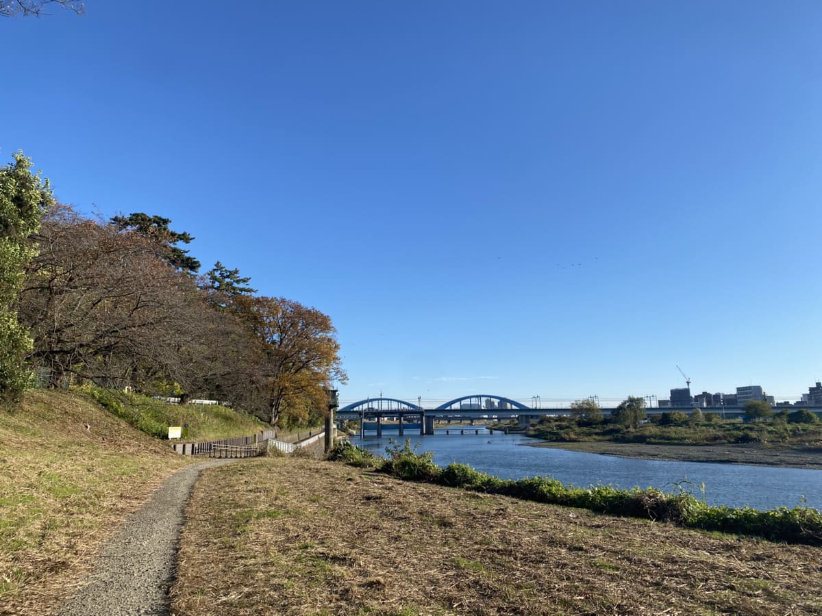 多摩川と丸子橋